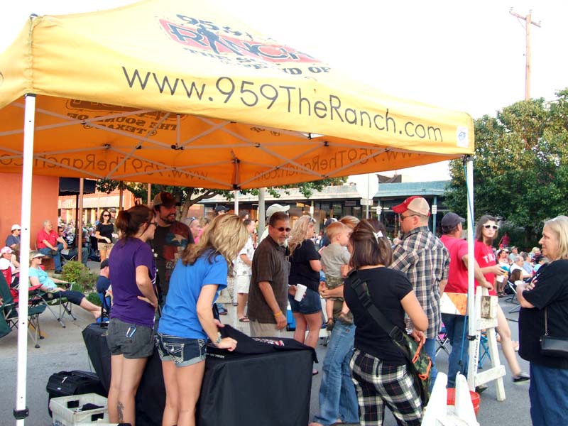 photo of people attending concert